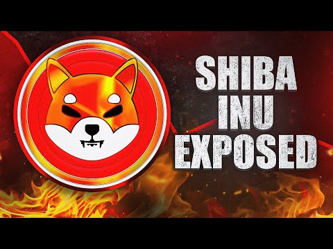 Deep Dive: What You Need To Know About Shiba Inu April 2024