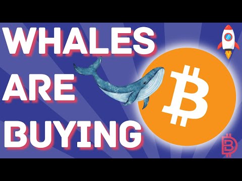 Giant Institutions Are Buying All The Bitcoin!!! What Will They Buy Next? DCA and HODL!