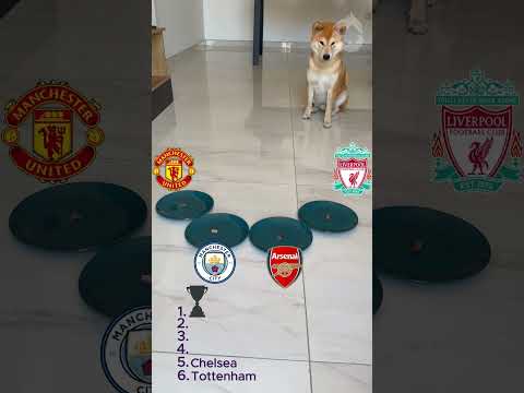 PREMIER LEAGUE 2024/2025 TOP 5 Dog Football Prediction! Champion Arsenal vs Manchester City Soccer ?