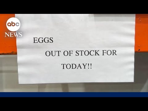 Egg prices skyrocket amid bird flu spread