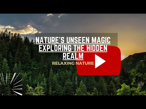 Nature&#039;s Unseen Magic Exploring the Hidden Realm with Hidden Cameras.