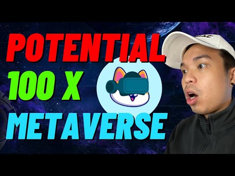 Why Υou SHOULD OWN Floki Metaverse 100X POTENTIAL ! BSC GEM !