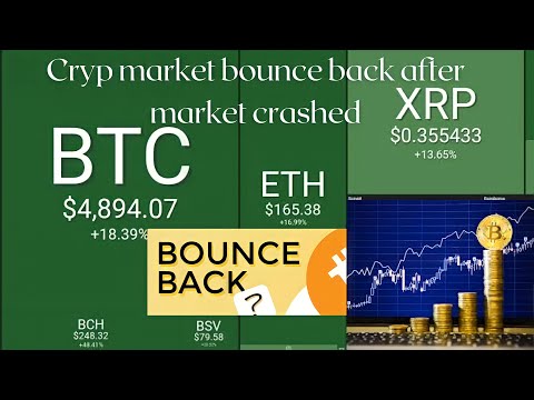 bounce back after market crash | cryptomarket come back after crypto market crash Bitcoin shiba inu