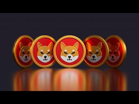 Shiba Inu Coin: Unleashing DeFi Opportunities