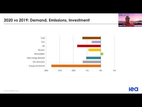 ANU Energy Update 2020