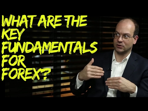 What are the Key Fundamentals for Currencies?