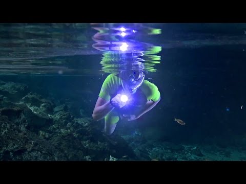 Amazing Underwater Caves | Wonders of Life w/ Prof Brian Cox | BBC Earth