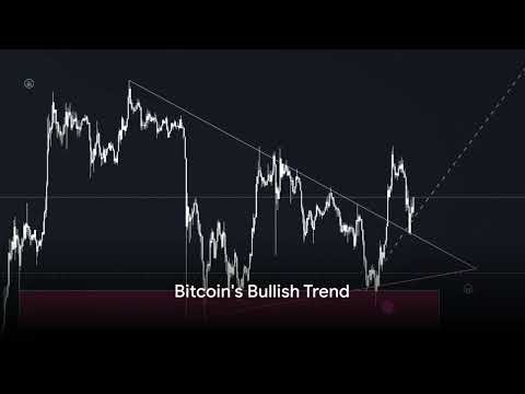 Economic Horizons: The Optimistic Surge in Technology and Crypto