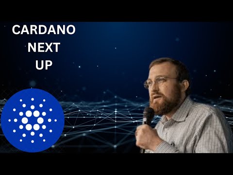 Cardano&#039;s Meteoric Surge Shows No Signs Of Slowing Down!