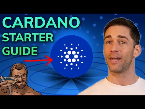 The Ultimate Cardano Starter Guide [Everything You Need to Know]