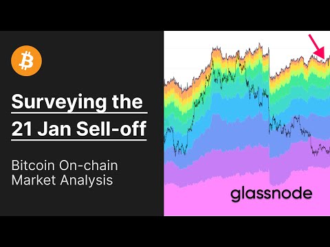 Bitcoin: Surveying the 21 Jan Sell-off (On-chain Market Analysis)