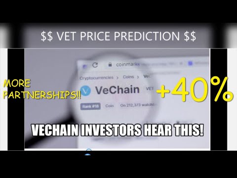 VECHAIN FUNDEMENTALS SAVE INVESTORS!