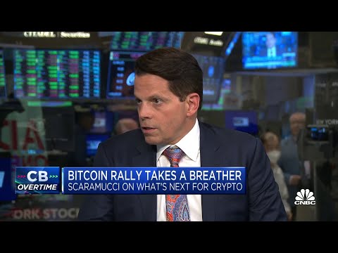 I still like bitcoin long-term: SkyBridge&#039;s Scaramucci