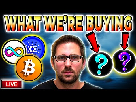 Cryptocurrency Sector to Buy Now!