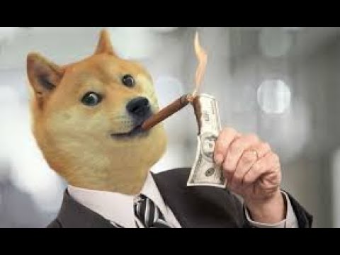 XRP and Dogecoin ETFs A New Dawn for Crypto Investment