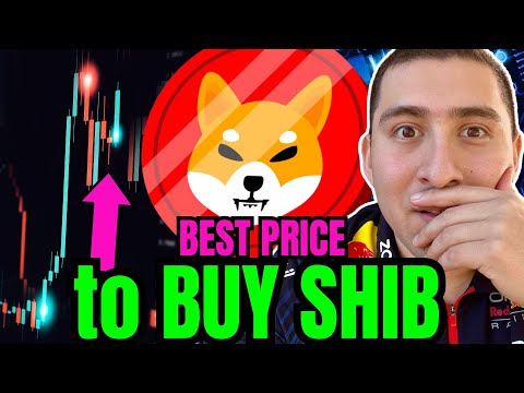 MAJOR SHIBA INU COIN PRICE PREDICTION!