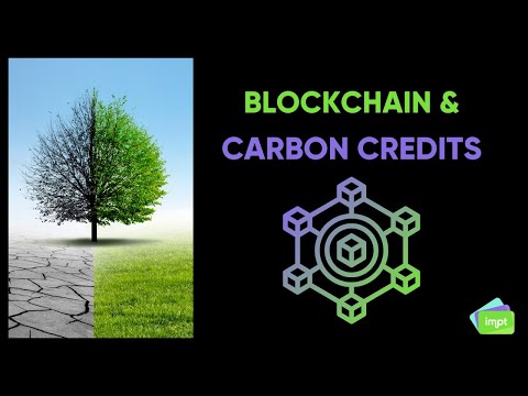 Blockchain &amp; Carbon Credits Explained