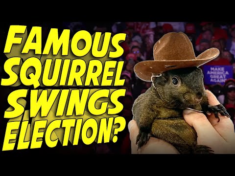 Squirrel Embraced by MAGA Movement Alters the Election!?