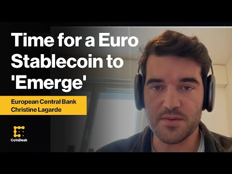 Timing Is Right for a Euro Stablecoin to &#039;Emerge&#039; and Gain &#039;Momentum&#039;: Keyrock CEO