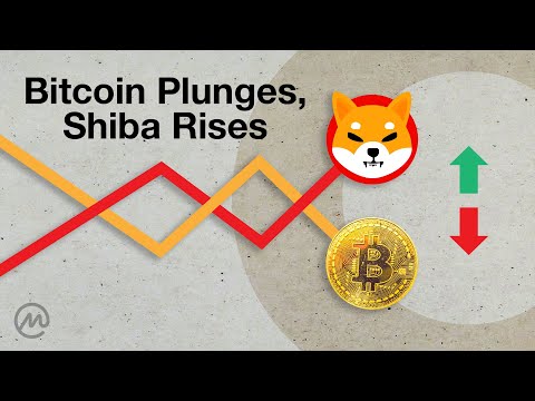 Why Market Down but SHIBA UP? [ October 27, 2021 ]