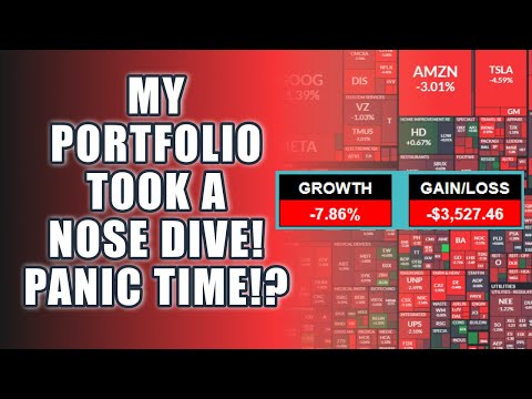 Portfolio Nose Dive | Time To Panic!?