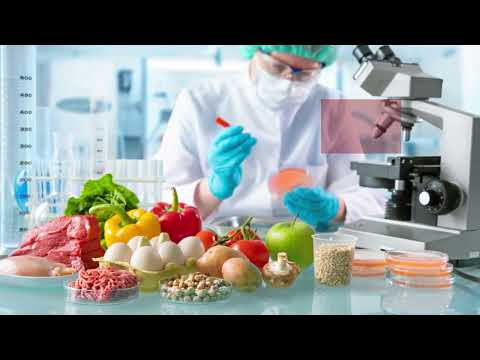 How FoodTech Innovations are Revolutionizing the Food Industry