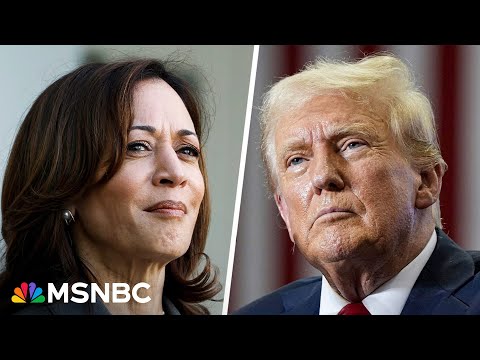 Kamala Harris erases Trump&#039;s swing state lead in new poll, resetting race